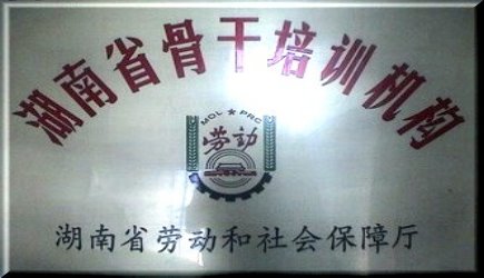 �ֻ�ά����ѵѧУ���ҵ�ά����ѵѧУ������ά����ѵѧУ�����繤��ʦ��ѵѧУ�� �繤��ѵѧУ��������ѵѧУ